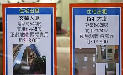 未曾見過香港人居，方知尋常生活貴